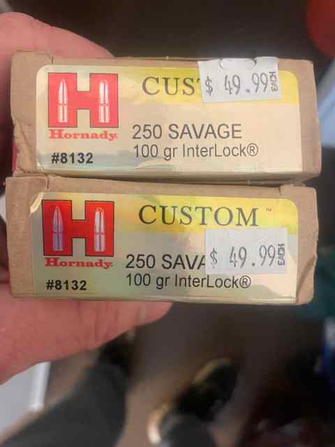 250 Savage Ammo