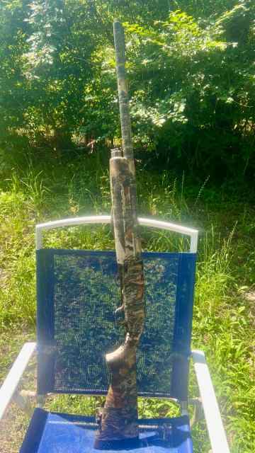 Browning Gold 3.5