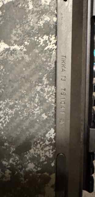 IMG_3870.jpeg