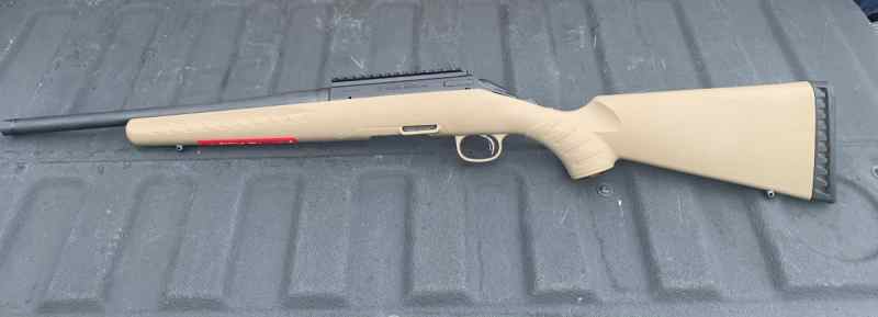 Ruger .300 BO FS/FT