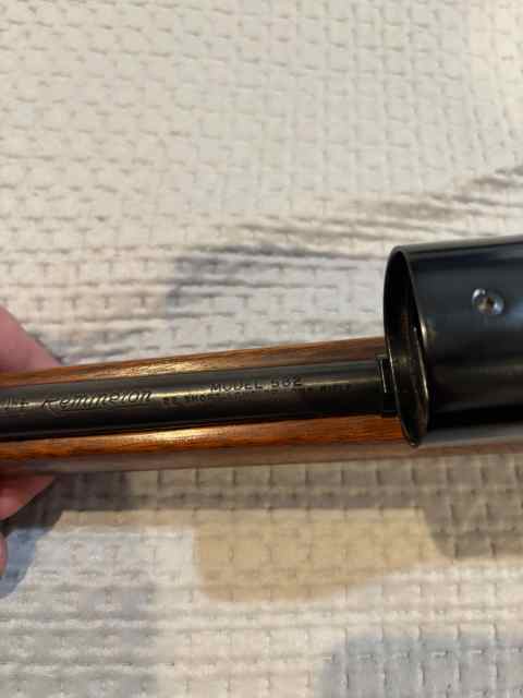 Remington 582 / Winchester 77