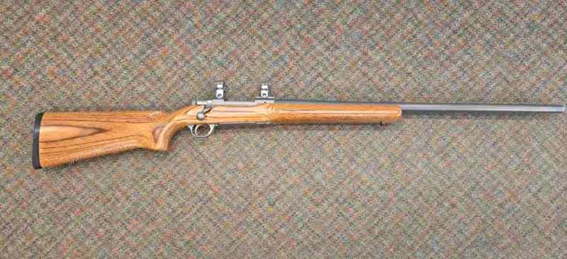 Ruger M77 Mark ii Varmint 243 win.