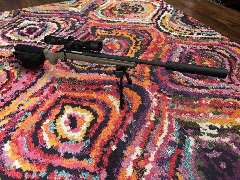 Ruger Ranch 300blk