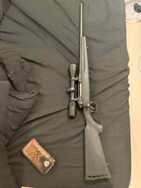 Several guns 