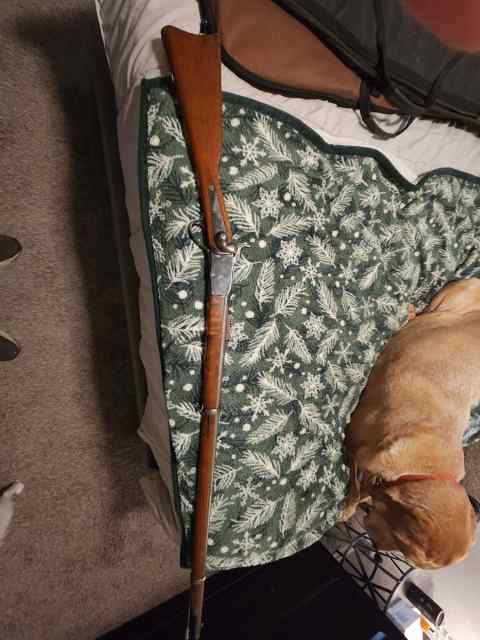 Peabody rifle  