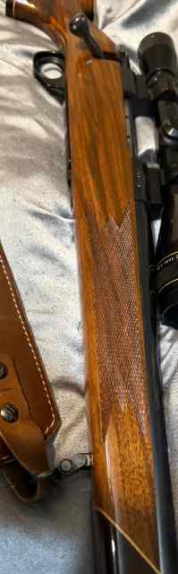 IMG_1374.jpeg