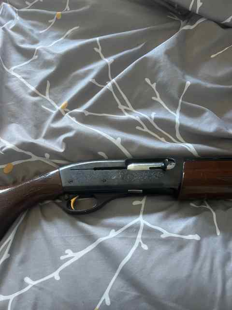 Remington 1187