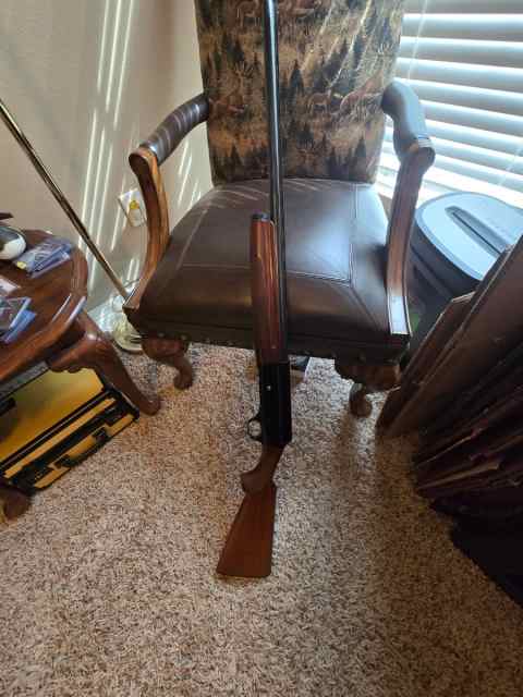 Franchi Brescia 12 gauge 