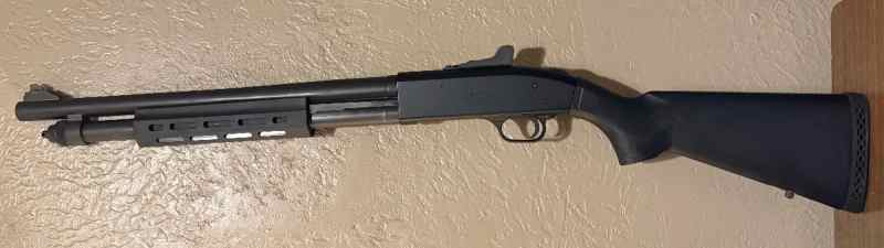 IMG_0767.jpeg