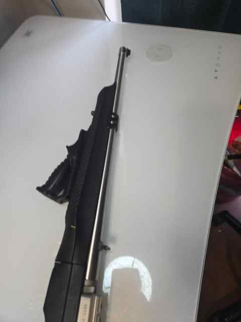 RUGER TAKEDOWN 10/22