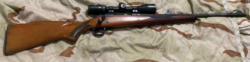 Winchester 270