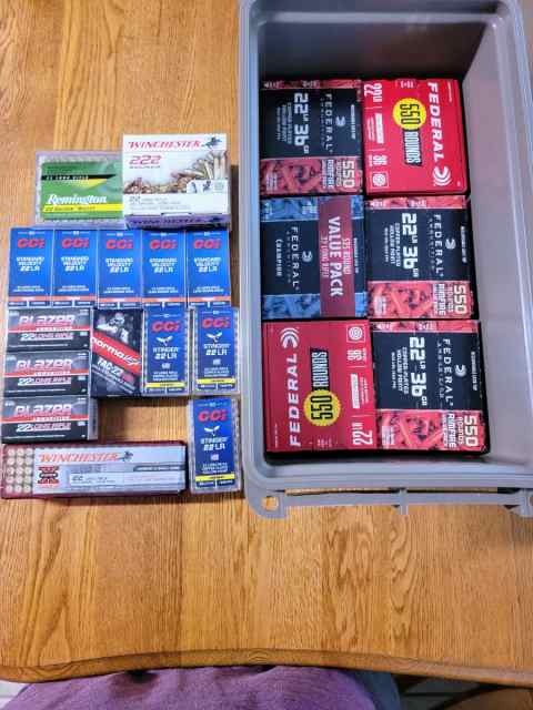 Bulk 22lr ammo