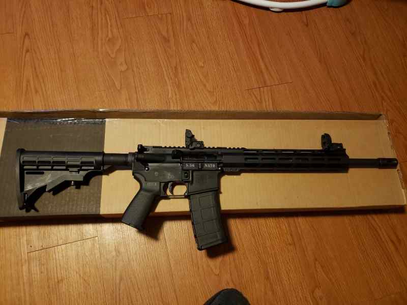 AR15
