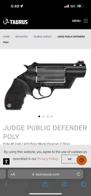 Looking for Taurus poly Public Defender 