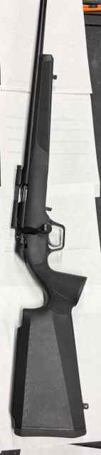 Springfield 2020 22lr. $285