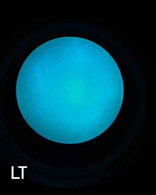 98C024DB-CE36-41E4-A1B2-0575034379C7.jpeg