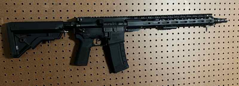 AR15 300 AAC BlackOut