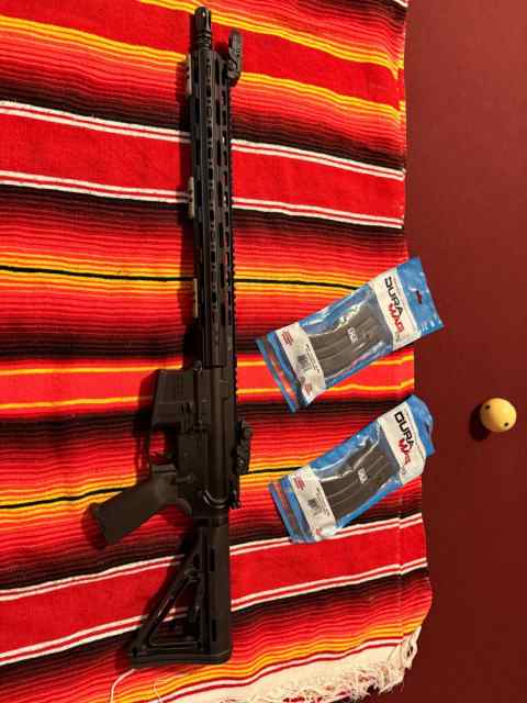AR Precision 1.jpeg
