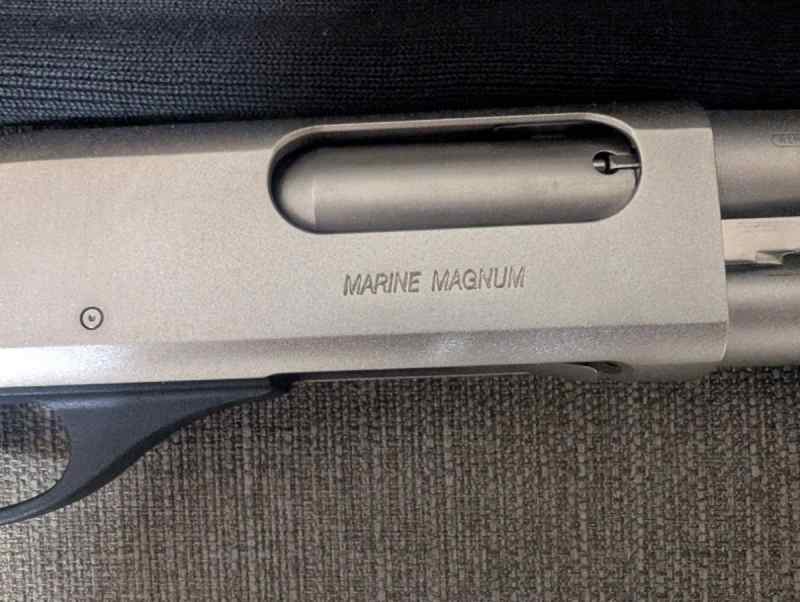 shotgun2.jpg
