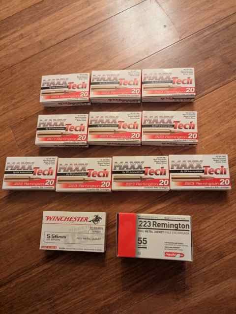 .223 Ammo 270 Rounds 