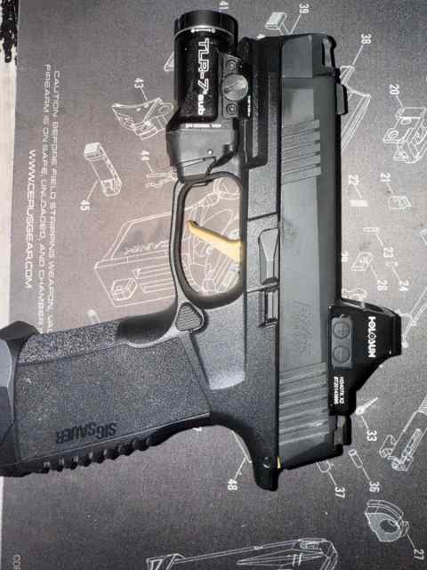 Sig Sauer Radian p365