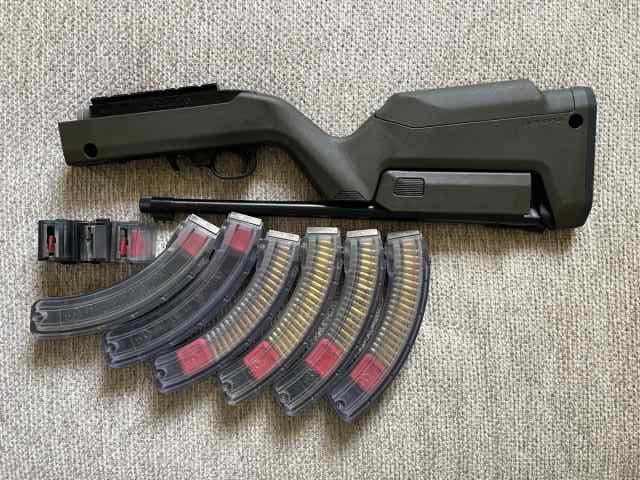 RUGER 10/22 Takedown Magpul backpacker + mags $500