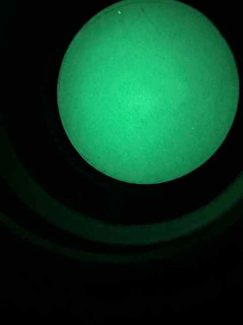 IMG_0716.jpeg