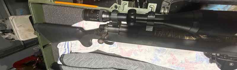 .223 Remington 700 