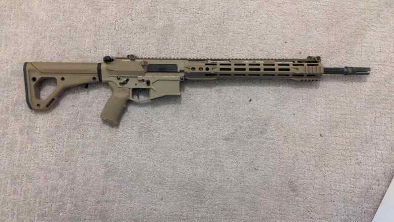 AR-10
