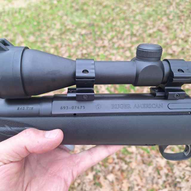 Ruger American .243 with scope and ammo