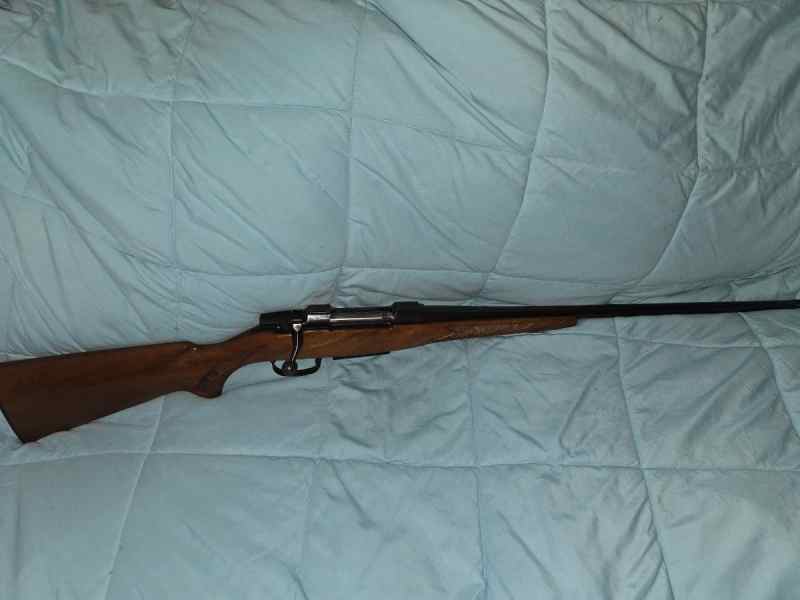 Cz 550 .243 winchester