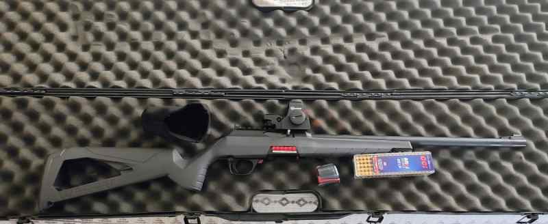 Winchester Wildcat .22 W/case,red-dot,100 rounds