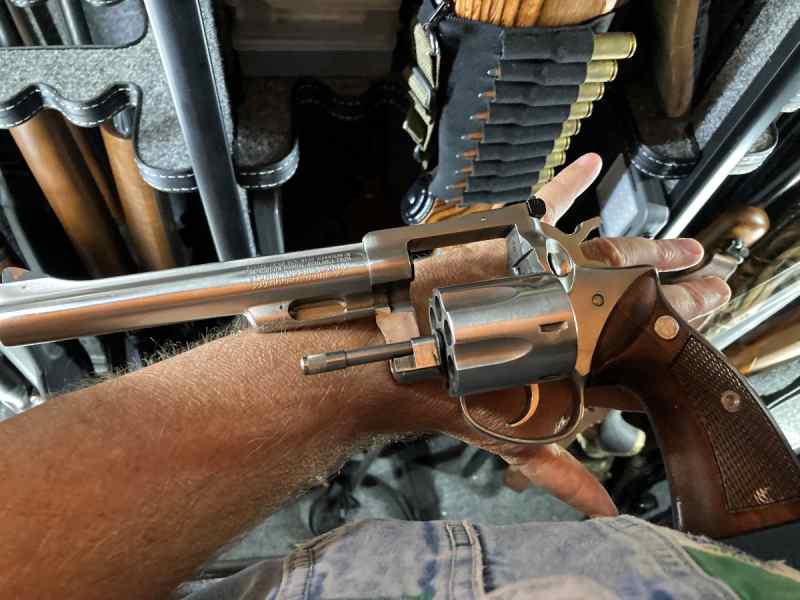 ruger.jpg