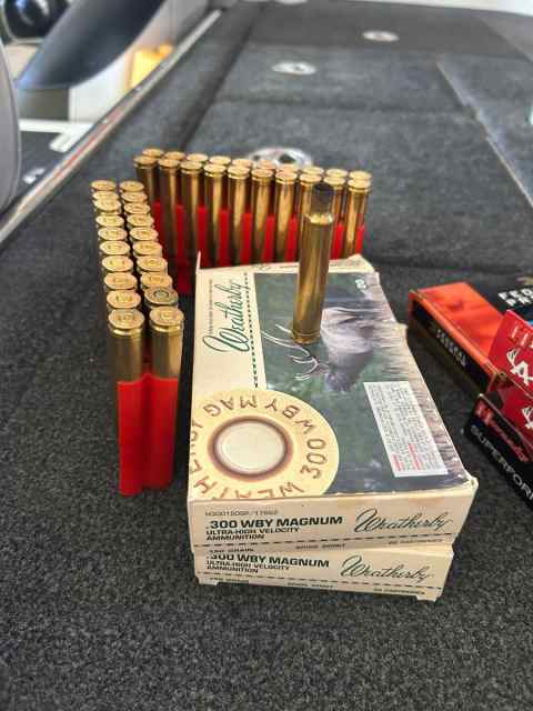 300 WBY Magnum 