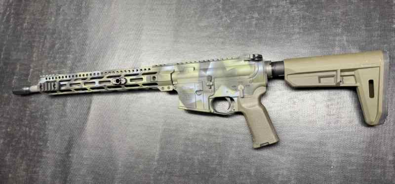 Custom AR-15 build