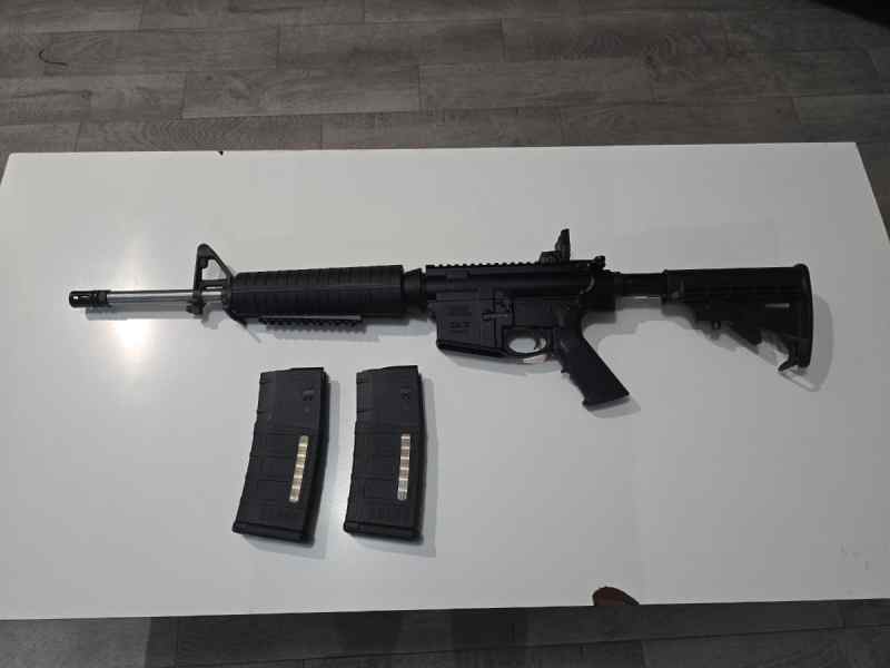 Palmetto State Armory PA-10