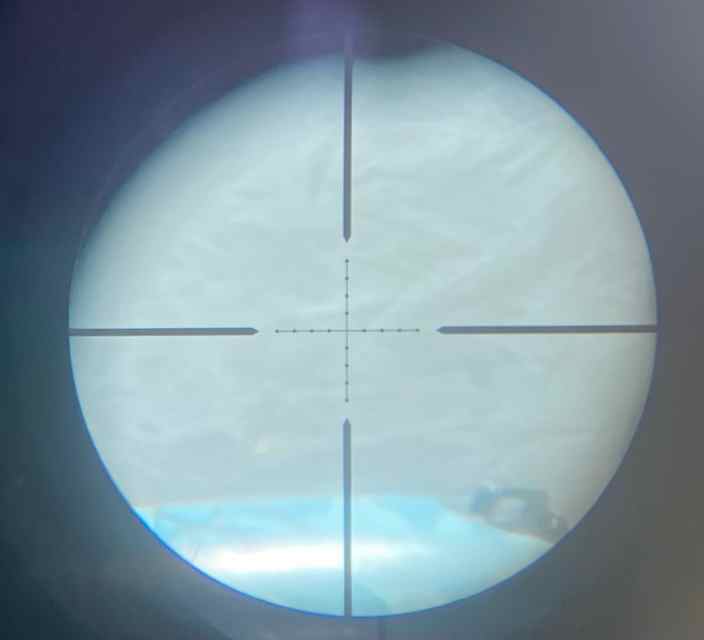 IMG_8767.jpeg